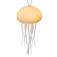 Medusas de Luz y Color