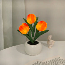 Tulipa Mágica de Colores