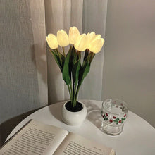 Tulipa Mágica de Colores