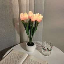 Tulipa Mágica de Colores